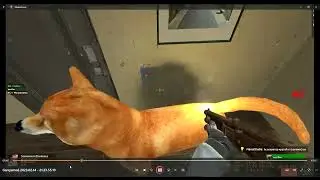 Ивент коту под хвост