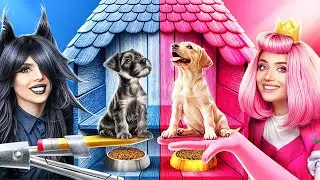 We Build a Tiny House for Dog! One Colored Challenge!