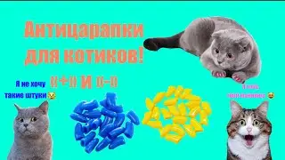 6 декабря 2021 г.