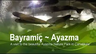 Turkish Travels - BAYRAMIC & AYAZMA, Turkey  [ English Version ] Tourist Information.