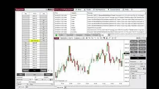 How to Scale In or Out of a Position with NinjaTrader