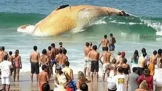 15 Perfectly Timed Photos