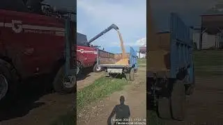 Первый бункер 2024