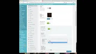 Bridge Wordpress Theme- by Qode Interactive Demo loading and setup- tutorial