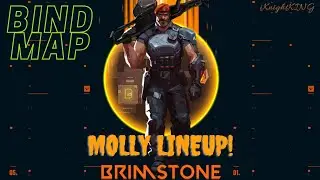 Brimstone Post-Plant Molly Lineups for BIND [Hindi]