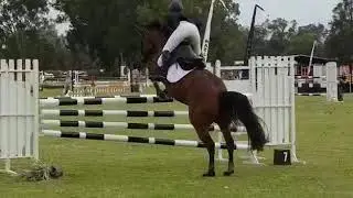 Diamond B Catapulte J4J Mini Prix 1.25m
