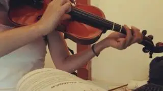Puzzicatto violin - asia theme