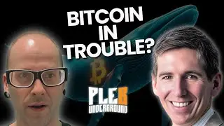 Bitcoins Unexpected Crisis!