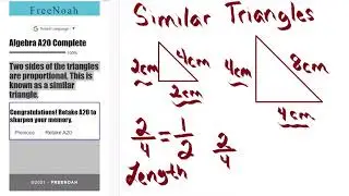 Algebra  Assessment 20 Question (20/20) Similar Triangle