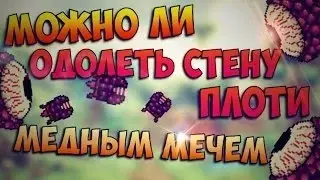 МОЖНО ЛИ ОДОЛЕТЬ СТЕНУ ПЛОТИ МЕДНЫМ МЕЧОМ / TERRARIA MOBILE