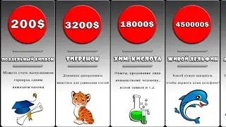 Сравнение: цены на черном рынке. Что можно купить в интернете?