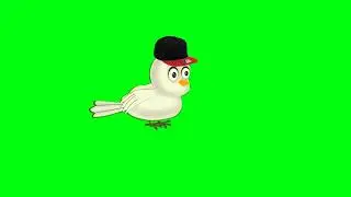 Free no Copyright tuni chidiya green screen cartoon backgrounds 65 bird cartoon green screen