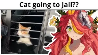 BAIL HIM OUT | Mallie Sprout reacting to Daily Dose of Internet