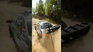 Experience the Thrills and Dangers of 3RD Person Rally (DIRT RALLY IRL)