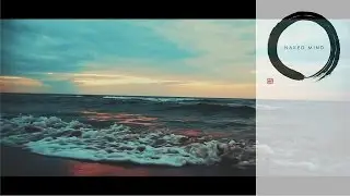 Naked Mind - Into The Tomb