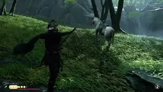 Ghost of Tsushima traveler of justice