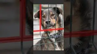 КАК УДАЛИТЬ НЕ НУЖНЫЕ ДЕТАЛИ В Photoshop 
