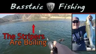 Fishing Big Striped Bass Boils at Pyramid Lake