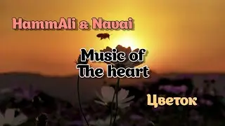 HammAli & Navai - Цветок ( s l o w e d + r e v e r b ) Текст песни 😈