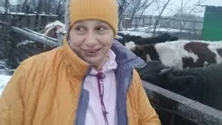 Не надо печалится Вся жизнь впереди Ну заяц погоди