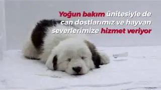 BOLU BELEDİYESİ HAYVAN HASTANESİ TANITIM FİLMİ