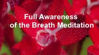Full Awareness of Breath Meditation