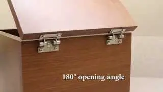 TT11SS - Stainless Steel Torque Hinge