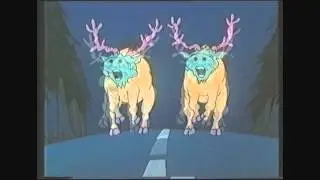 Rottis - Råtz