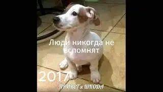 Люди больше не услышат...