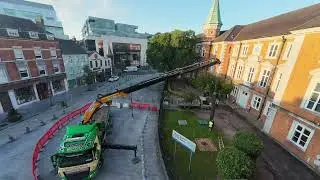 Michael Warren Removal Timelapse