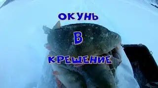 ОКУНЬ В КРЕЩЕНИЕ