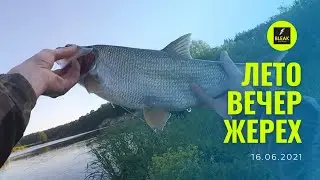 Лето. Вечер. Жерех