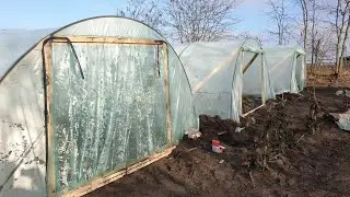 Двери шторки для балаганов. Что же внутри теплицы после натяжки пленки.