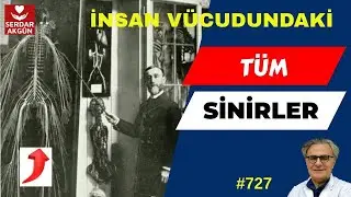727. Ürpertici Bir Öykü, Prof.Dr.Serdar Akgün, Sağlık Videoları, Sağlık Haberleri
