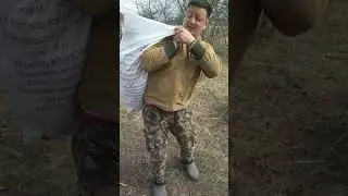 кот в мешке