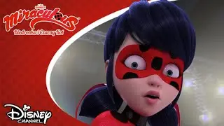 🐞 Twarzą w twarz | Miraculous: Biedronka i Czarny Kot | Disney Channel Polska