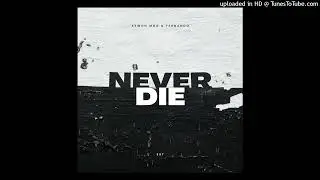Aewon mog & Fernando_Never Die [Official Audio]