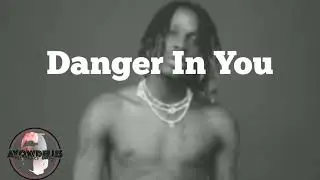 [FREE] Afro beat - Danger in You (2023)