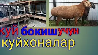Куй бокиш учун к,ура,куйхона тайёрлаш