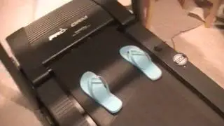 Flip Flop Family(: