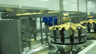 Fort wayne chips multiweigher