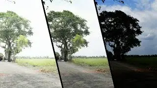 What is Dynamic Range in photography? | Hindi | How to Control Dynamic Range? |