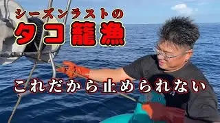 【タコ籠漁】嬉しい裏切り！【越前漁港の漁師達】