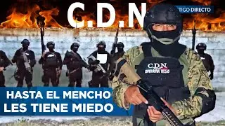El LETAL CARTEL DEL NORESTE: Por esto ni el Cártel de Sinaloa, ni el CJNG se Atreven a Enfrentarlos