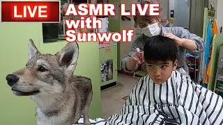Sunwolf Live! - Join me for an experiment in LIVE ASMR!