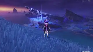 Go to Seirai Island and Take Picture | Genshin Impact |