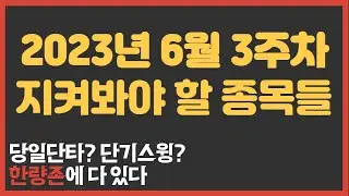 2023년 6월 3주차 한량존 관심종목