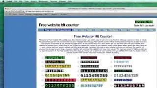 Adding A Hit Counter To An EverWeb Site