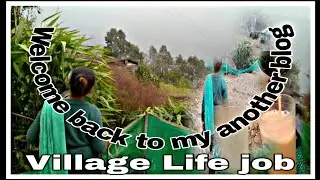A Village in West Bengal, India!! Broom Harvesting .