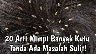 20 ARTI MIMPI BANYAK KUTU